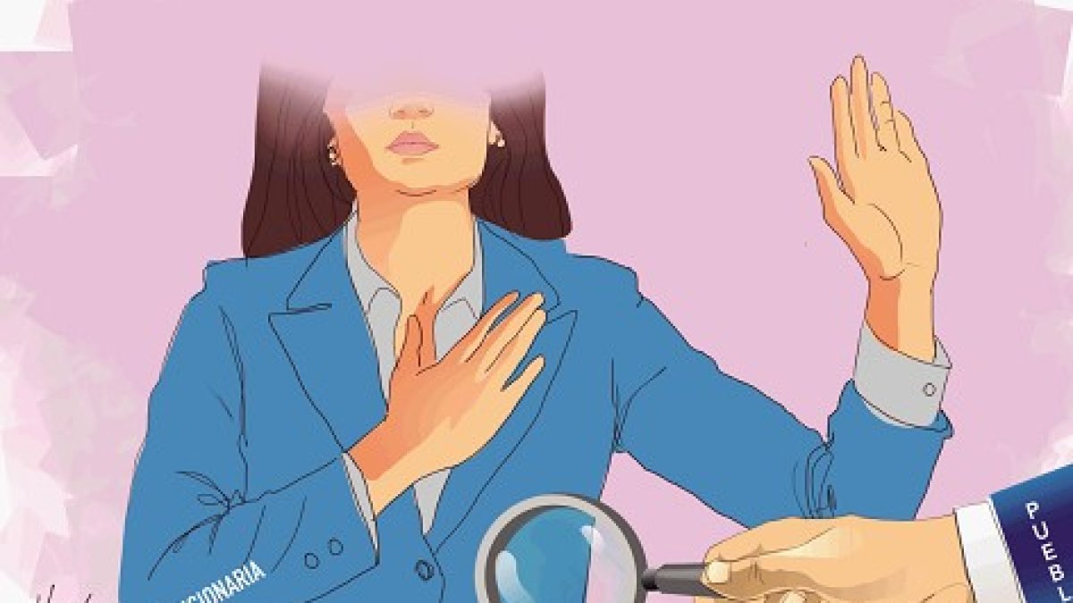 Más ideas sobre el desdoblamiento entre persona y funcionario