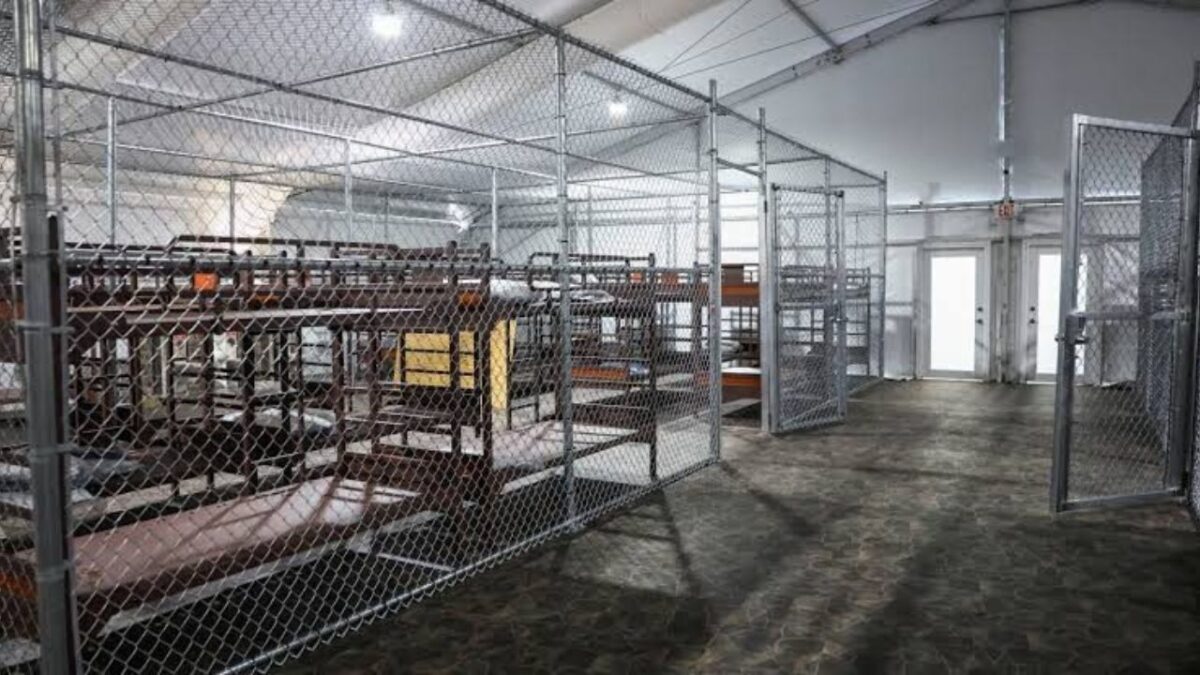 Reporte oficial constata uso de jaulas y otros abusos a inmigrantes en Alligator Alcatraz