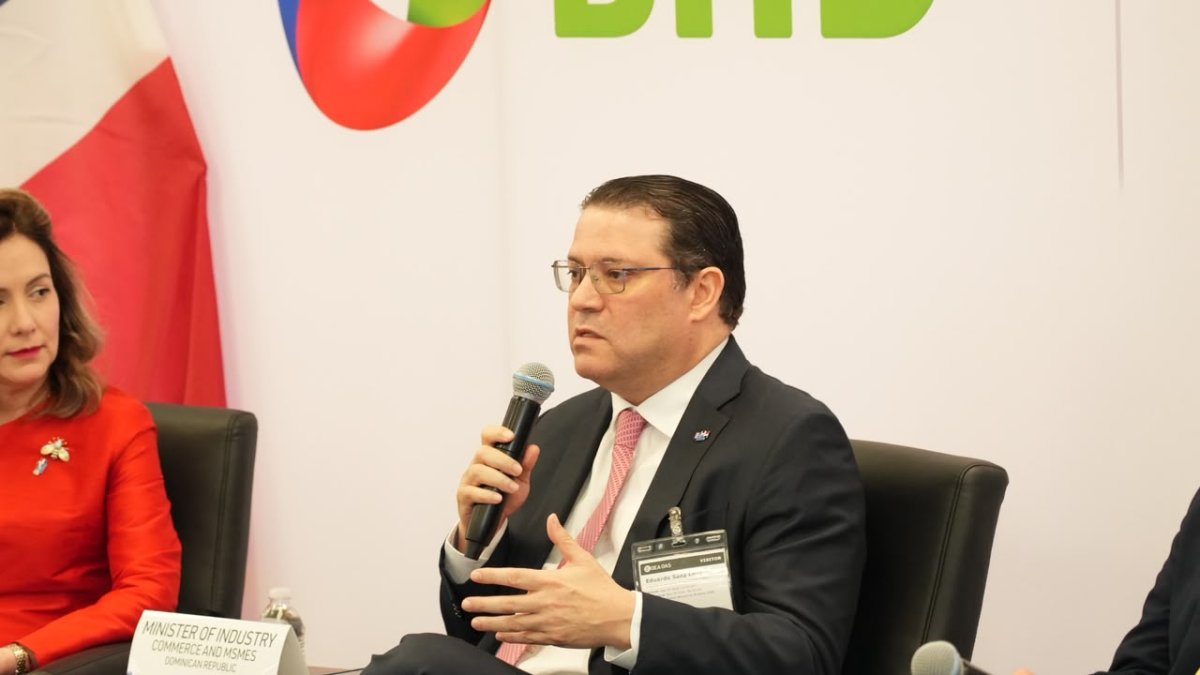 Yayo Sanz Lovatón destaca ante la OEA cómo la IA puede impulsar a las mipymes dominicanas